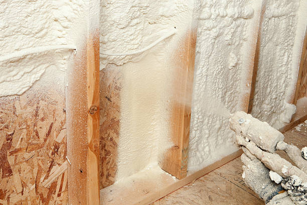 Professional Insulation Services in Mayer, AZ